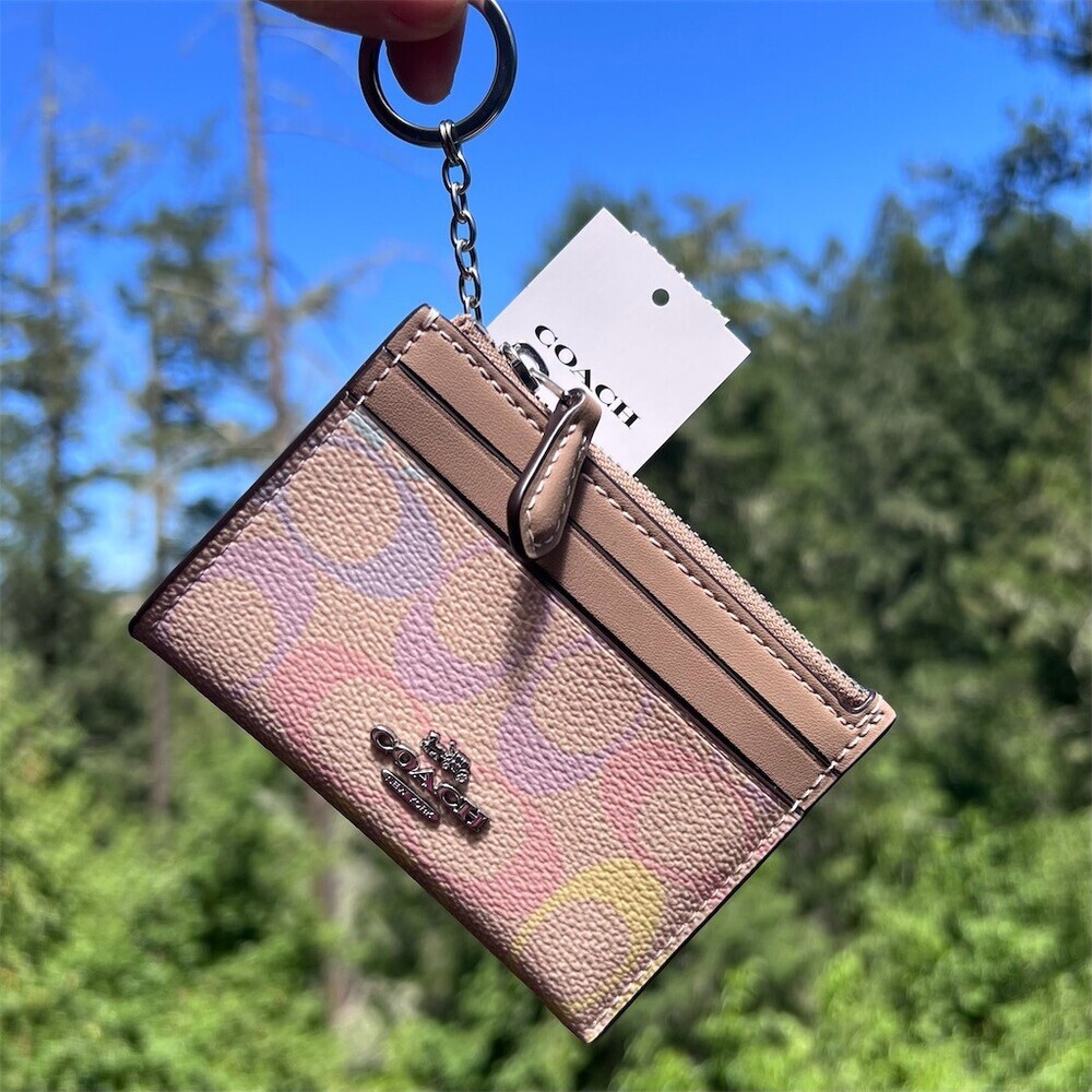 COACH Mini Skinny ID Case Cardholder Keychain Wallet Signature Rainbow Print NWT